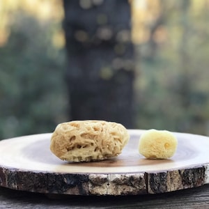 Natural Sea Sponges: Gentle Exfoliation, Eco-Friendly