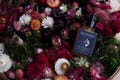 New Moon Face Oil • Botanical Floral Concentrate • Let the flowers do their magic