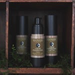 Foundation