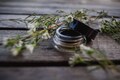 Gel Eye Liner Smudge Pot • Botanical Blend • ONYX • Earth Mineral Cosmetics • Vegan + Organic + Gluten Free + Cruelty Free