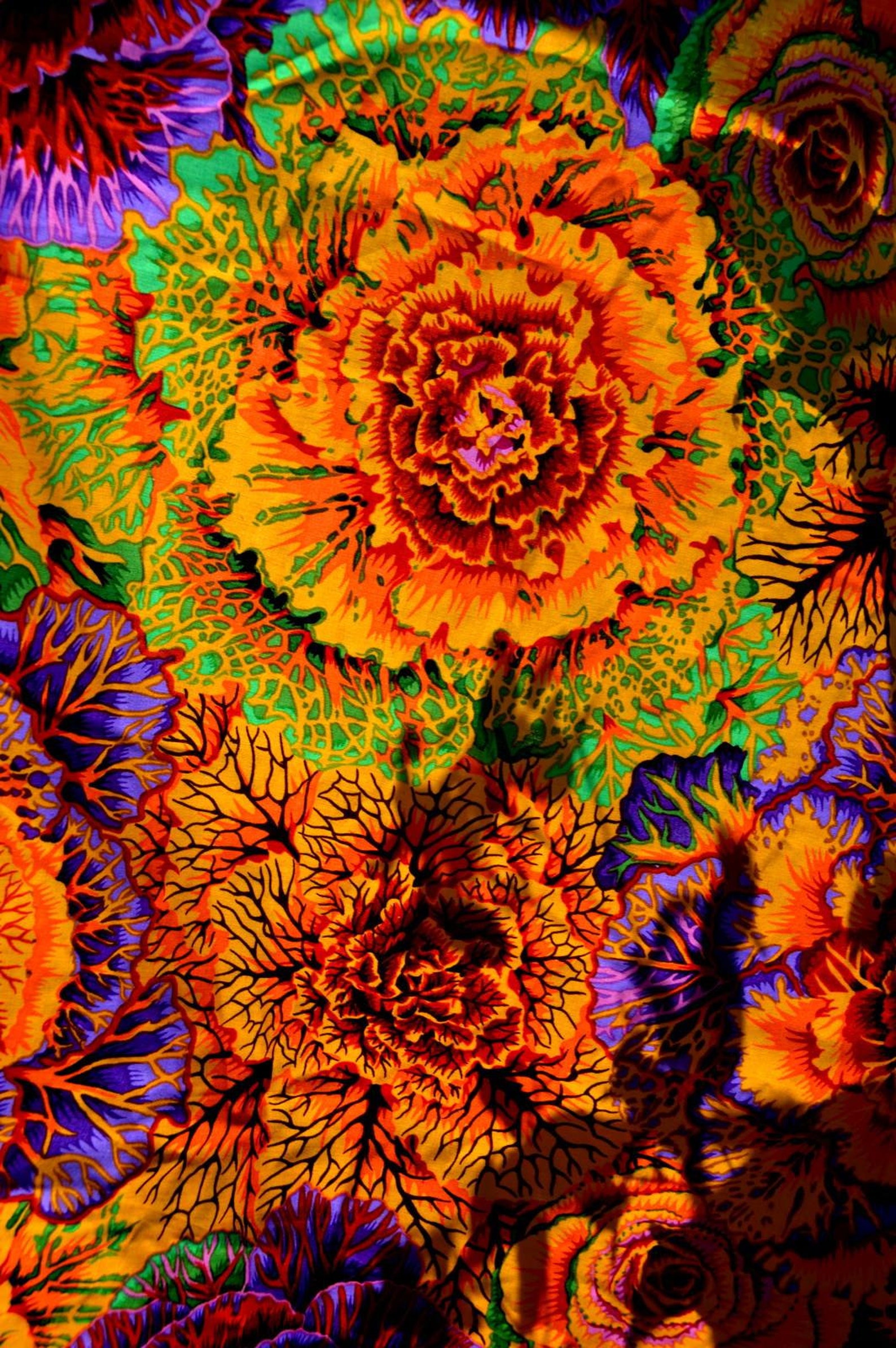 Brassica in Orange PWPJ051.ORANG Philip Jacobs Kaffe Fassett Etsy UK