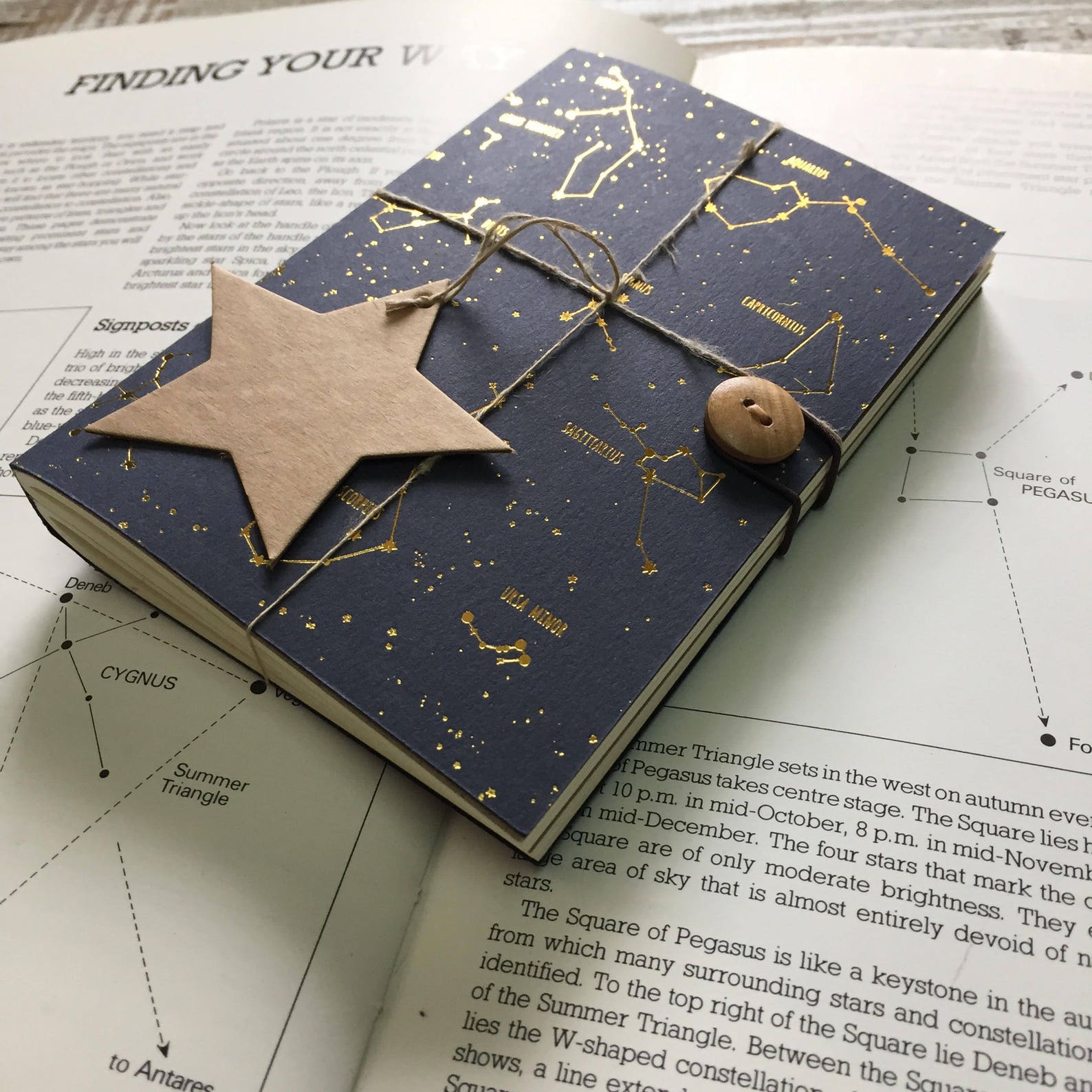 GOLD FOIL Constellation Notebook Star Notebook Indigo Etsy