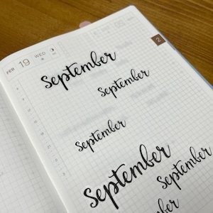 Hobonichi Monthly Script stickers; Clear Stickers; Pocket planner stickers; Hobonichi stickers; Calendar Stickers image 10