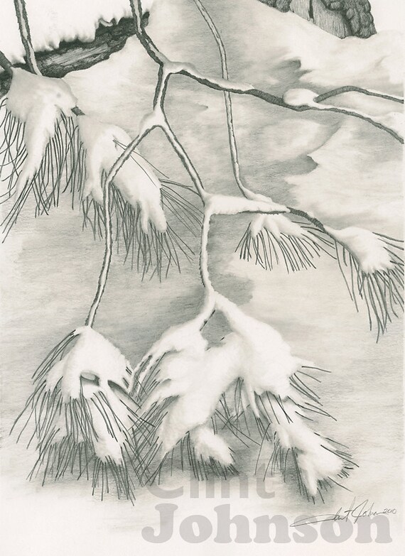 Pine Branch In The Snow Fine Art Pencil Drawing 9 X 12 5 Etsy