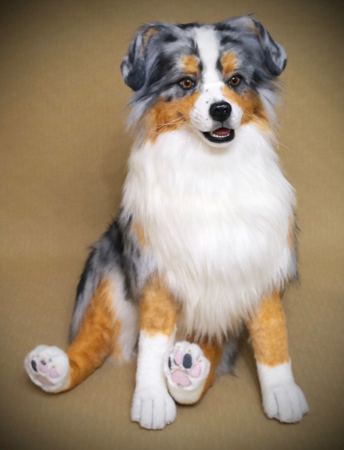 Preorder. Aussie Australian Shepherd dog.Blue Merle dog. Etsy