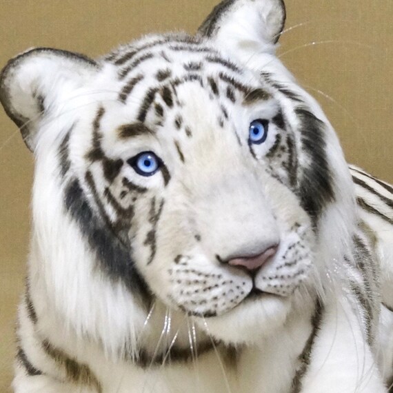 snow tiger toy