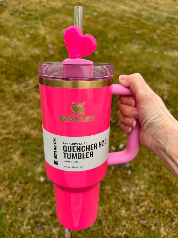 LIMITED EDITION* New Stanley Pink Parade 40 oz Quencher Tumbler