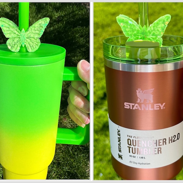 Stanley Cup Watermelon Moonshine Etsy