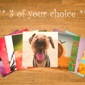 Offriamo tre cartoline di vostra scelta Piazza arte cartolina risparmio pacchetto natura Macro Wall Art decorazione carta di risparmio