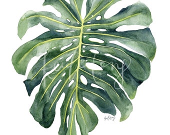 Monstera Deliciosa Leaf Art Print // Tropical Botanical Plant Leaves Watercolors Print, Modern Plants Watercolor Illustration Wall Art
