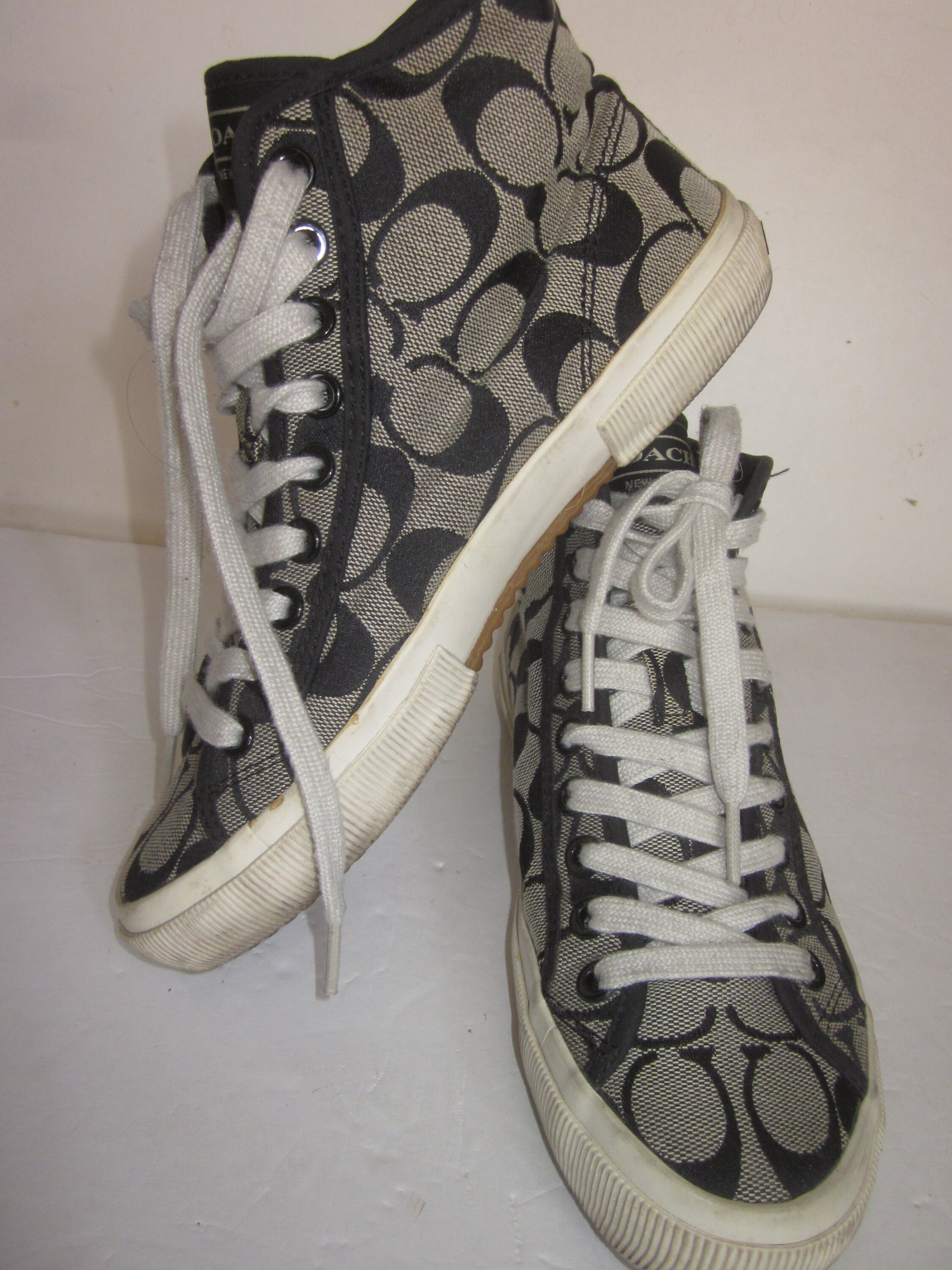 Coach tipo converse deals