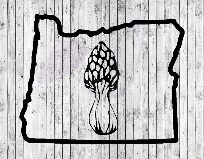 Oregon Morel Mushroom 5 Vinyl Decal Sticker Etsy