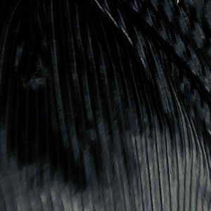 May include: Black fabric with a vertical ribbed texture. The fabric is soft and has a subtle sheen.