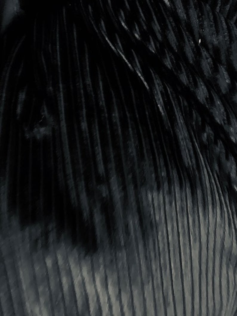 May include: Black fabric with a vertical ribbed texture. The fabric is soft and has a subtle sheen.