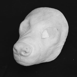 Realistic Spotted Hyena Fursuit Mask Resin Blank with Moving Jaw