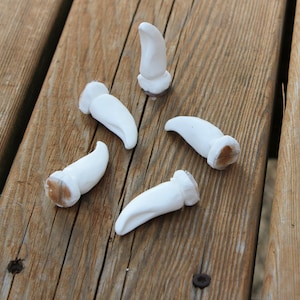 DIY Resin Canine Claws for Fursuits *Set of 10*