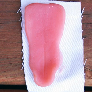 Realistic Silicone Small Canine Tongue for Fursuit Heads