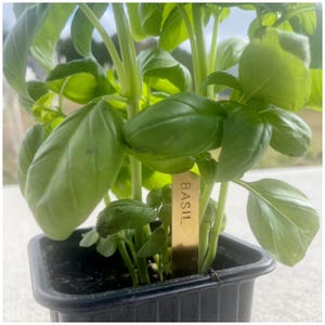 Mini Herb Markers - Metal Garden Markers - Short Plant Tags - Vegetable Stakes - Gift for Gardener - Gardening Labels - Gardening Present
