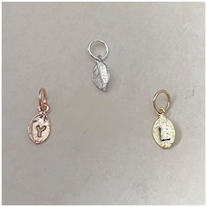 May include: Three leaf-shaped charms in different colors: silver, rose gold, and gold. Each charm has a small loop at the top for attaching to a necklace or bracelet. The gold charm has the letter "L" engraved on it, the rose gold charm has the letter "Y" engraved on it, and the silver charm has no engraving.