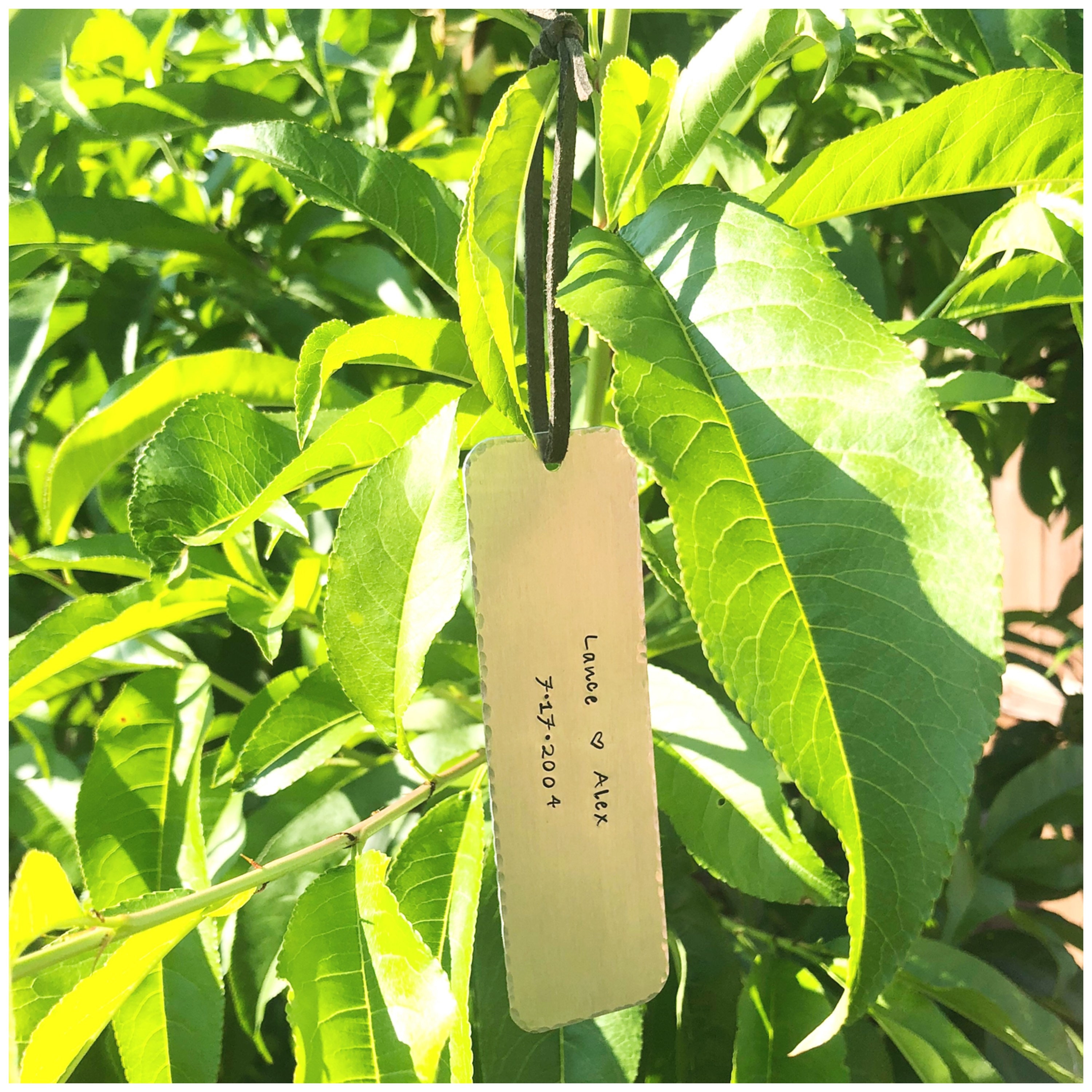 Personalized Tree Tag Hand Stamped Tree Sign Custom Tree Etsy