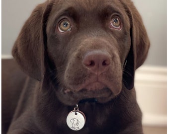 Hand Stamped Pet Tag - Copper Pet Collar Identification - Personalized Dog Disc Tag - Customized Cat Coin Tag - Labrador ID Tag - Leash Tag