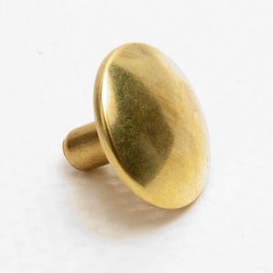 May include: A gold-colored metal furniture nail with a round head.