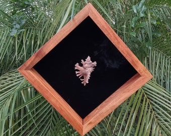 Solid Hawaiian Koa Wood Shadow Box