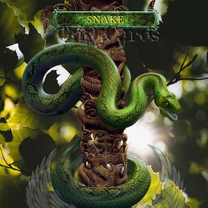 Personalização do token Snake #5 TCG alterada