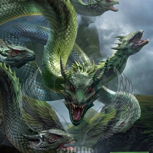 Hydra Card Sleeves - Etsy UK