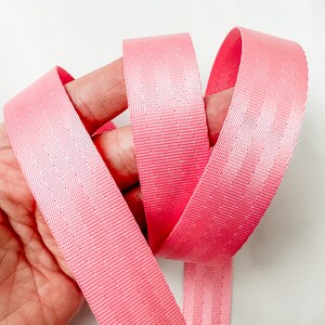 May include: Close-up of a length of pink webbing material. The webbing is a solid, vibrant pink color with a subtle texture. The material is looped and held in place.