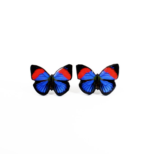 Blaue Schmetterling Ohrringe mit rotem Akzent - Tropisch Natur inspirierter Schmuck - Geschenk für unvergessliche Momente - Handgefertigtes Mode Accessoire