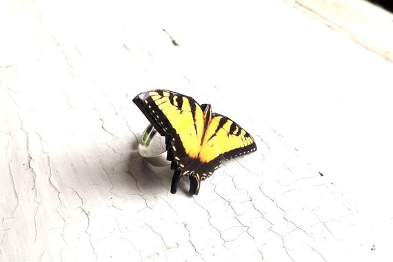 Yellow Butterfly Ring Butterfly Ring 