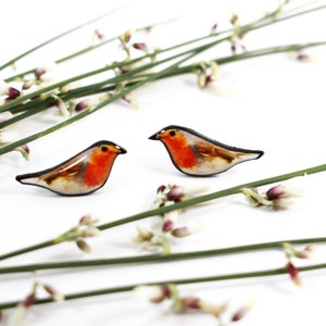 May include: A pair of robin bird earrings made of resin. The earrings are a light brown color with a red breast and black eyes. The earrings are set against a white background with green stems and white flowers.