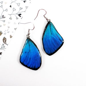 Blaue Morpho Schmetterlings Flügel Ohrringe - Einzigartige Natur Inspirierte Boho Schmuck - Leichtes Statement Schmuck für jeden Anlass