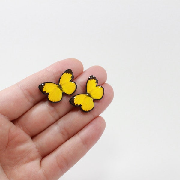 Gorgeous Common Grass Yellow Butterfly Stud Earrings, Botanical earrings, Butterfly wing Jewelry. Botanical gift lover, For sensitive ears