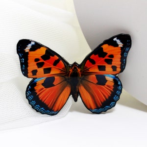 May include: A close-up of a black and orange butterfly brooch with blue accents. The butterfly is made of resin and has a glossy finish.