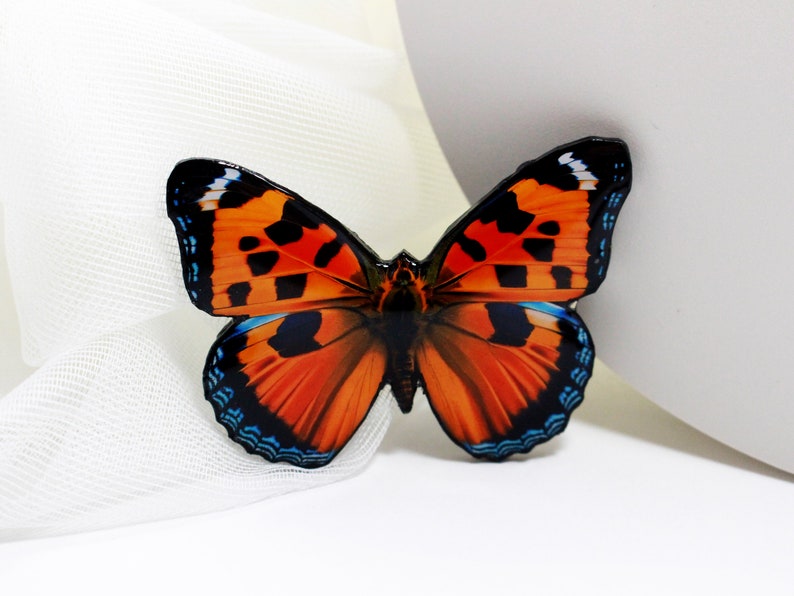 May include: A close-up of a black and orange butterfly brooch with blue accents. The butterfly is made of resin and has a glossy finish.