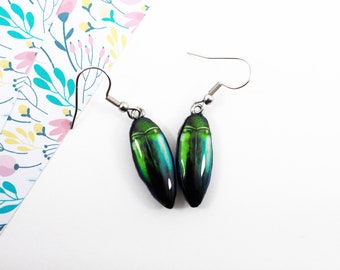 Iridescent Beetle Wing Dangle Earrings, Handmade Nature-Inspired Jewelry, Perfect for Boho Festivals, Unique Insect Accessory,Statement Gift