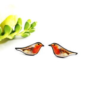 May include: A pair of robin bird earrings. The earrings are made of resin and feature a realistic depiction of a robin with a red breast, brown wings, and a black eye. The earrings are a great way to add a touch of nature to your look.