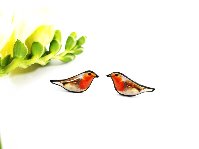 May include: A pair of robin bird earrings. The earrings are made of resin and feature a realistic depiction of a robin with a red breast, brown wings, and a black eye. The earrings are a great way to add a touch of nature to your look.