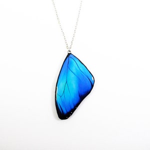 Blue butterfly wing necklace, Winter jewelry, Butterfly wing necklace, Butterfly wing, Butterfly jewelry