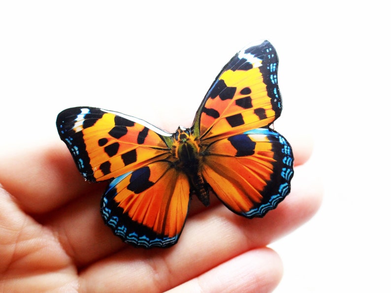 May include: A close-up of a colorful butterfly with orange, black, and blue wings. The butterfly is sitting on a person's hand.