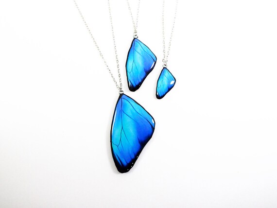 Butterfly wing jewellery outlet