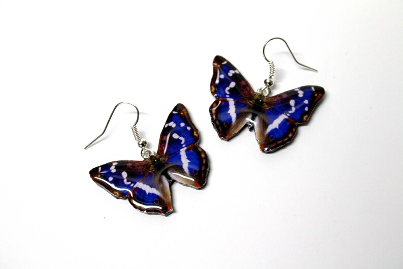 Blue morpho Blue butterfly earrings Resin Morpho Monarch Etsy