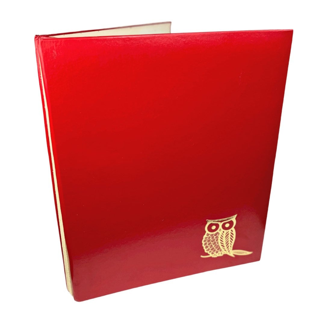 70’s Retro OWL Blank Unused Cardstock Scrapbook