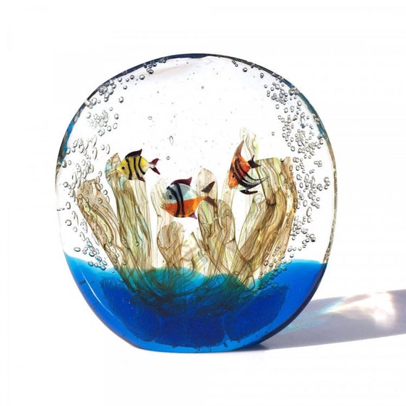 credit President naald Aquarium met vis en zee ronde vorm veelkleurig aquarium - Etsy België