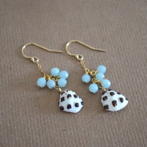 Spotted Drupe Shell Earrings with Minty Amazonite, Gold Filled