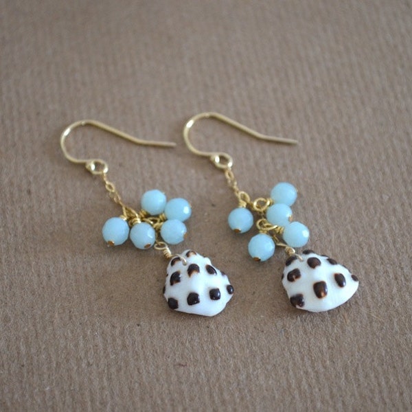 Spotted Drupe Shell Earrings with Minty Amazonite, Gold Filled