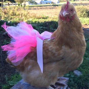 Chicken Feet Covers Farm Animal Hen Big Bird Halloween Fancy Dress 