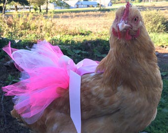 Standard Chicken Tutu Dress- Princess dress for your hen